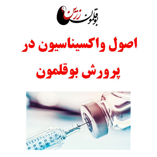 اصول واکسیناسیون در پرورش بوقلمون