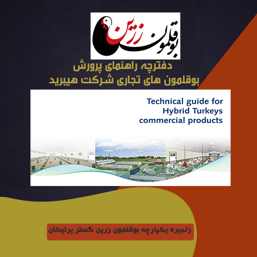  شرکت هیبرید