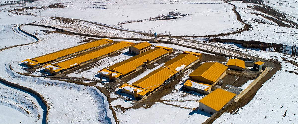 زرین گشتر پریتکان