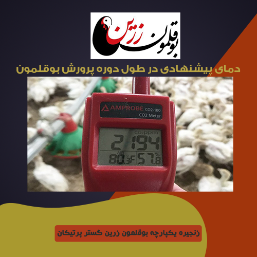 دمای پیشنهادی در طول دوره پرورش بوقلمون
