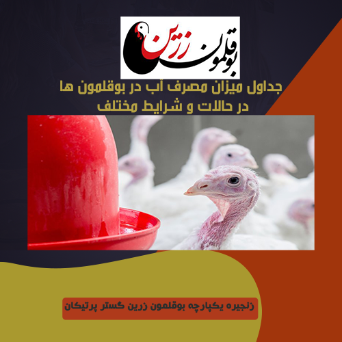 میزان مصرف آب در بوقلمون ها 