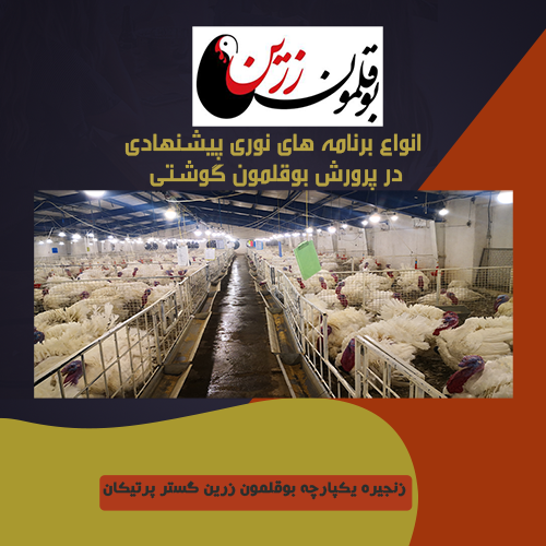 انواع برنامه های نوری پیشنهادی 