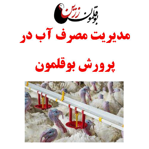 مدیریت مصرف آب در پرورش بوقلمون