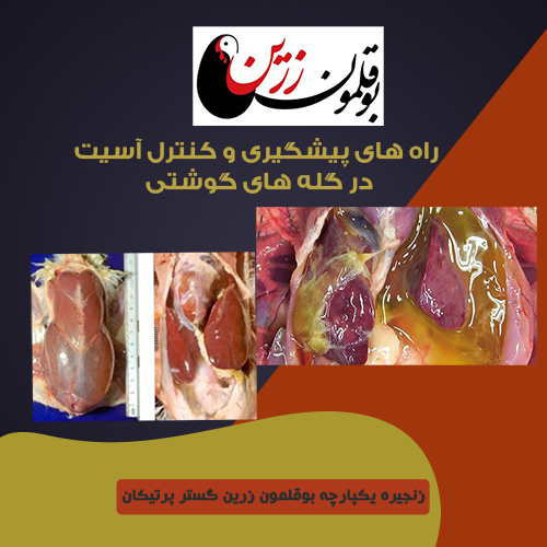 راههای پیشگیری و کنترل آسیت 