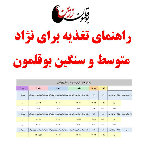 راهنمای تغذیه برای نژاد متوسط و سنگین بوقلمون